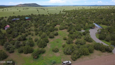 Tiny photo for 19 N3133, Vernon, AZ 85940 (MLS # 262804)