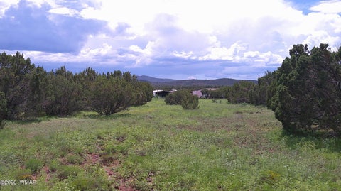 Tiny photo for 19 N3133, Vernon, AZ 85940 (MLS # 262804)