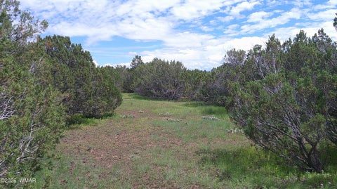 Tiny photo for 19 N3133, Vernon, AZ 85940 (MLS # 262804)