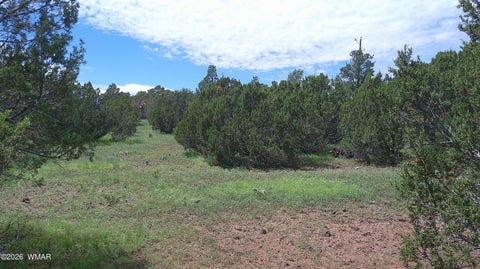 Tiny photo for 19 N3133, Vernon, AZ 85940 (MLS # 262804)