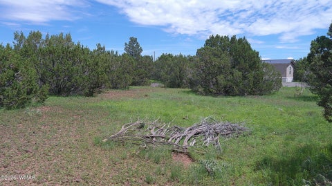 Tiny photo for 19 N3133, Vernon, AZ 85940 (MLS # 262804)