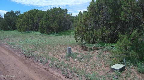 Tiny photo for 19 N3133, Vernon, AZ 85940 (MLS # 262804)