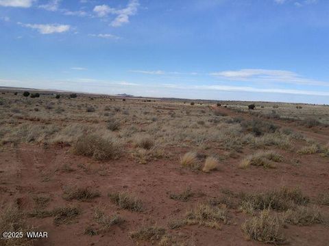Tiny photo for 8356 Holly Trail, Snowflake, AZ 85937 (MLS # 254786)