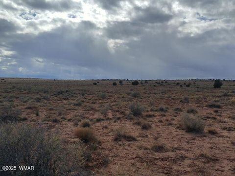 Photo of 8356 Holly Trail, Snowflake, AZ 85937 (MLS # 254786)