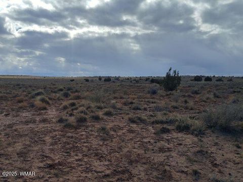 Tiny photo for 8356 Holly Trail, Snowflake, AZ 85937 (MLS # 254786)