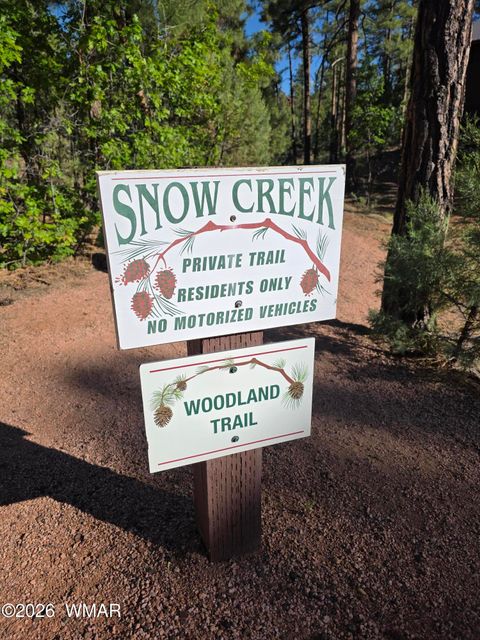 Tiny photo for 1710 W Snow Creek Loop, Show Low, AZ 85901 (MLS # 261220)