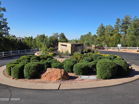Tiny photo for 1710 W Snow Creek Loop, Show Low, AZ 85901 (MLS # 261220)