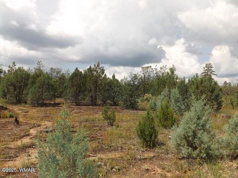 Tiny photo for 2697 Lost Way, Overgaard, AZ 85933 (MLS # 255432)