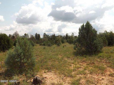Tiny photo for 2697 Lost Way, Overgaard, AZ 85933 (MLS # 255432)