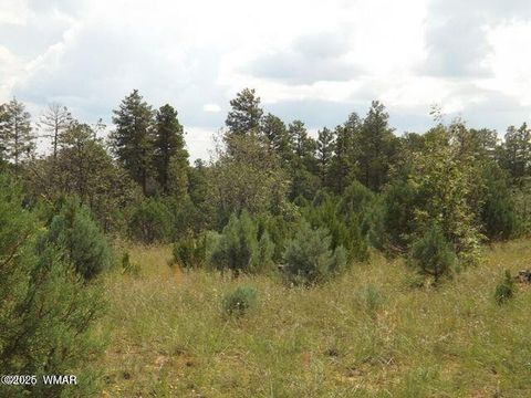 Tiny photo for 2697 Lost Way, Overgaard, AZ 85933 (MLS # 255432)