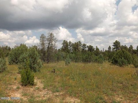 Tiny photo for 2697 Lost Way, Overgaard, AZ 85933 (MLS # 255432)