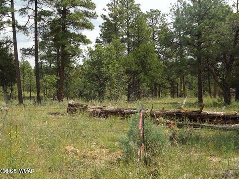 Tiny photo for 2697 Lost Way, Overgaard, AZ 85933 (MLS # 255432)