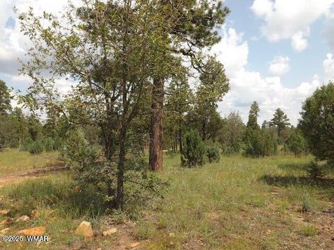 Tiny photo for 2697 Lost Way, Overgaard, AZ 85933 (MLS # 255432)