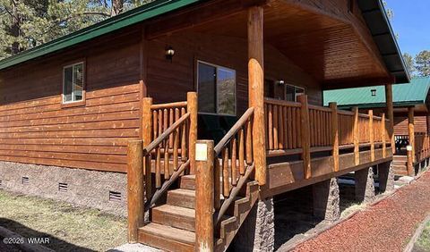 Tiny photo for Cabin 95 Rohrer Road, Greer, AZ 85927 (MLS # 261047)