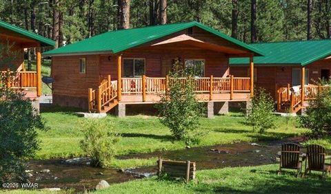 Photo of Cabin 95 Rohrer Road, Greer, AZ 85927 (MLS # 261047)