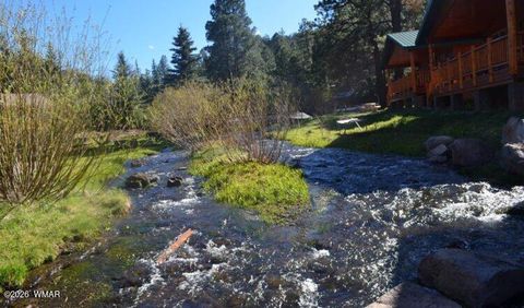 Tiny photo for Cabin 95 Rohrer Road, Greer, AZ 85927 (MLS # 261047)