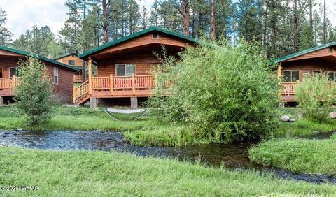 Tiny photo for Cabin 95 Rohrer Road, Greer, AZ 85927 (MLS # 261047)