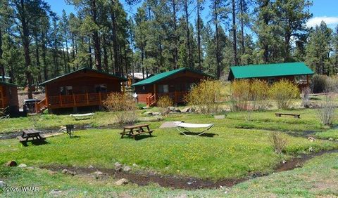 Tiny photo for Cabin 95 Rohrer Road, Greer, AZ 85927 (MLS # 261047)