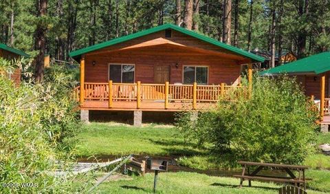 Tiny photo for Cabin 95 Rohrer Road, Greer, AZ 85927 (MLS # 261047)