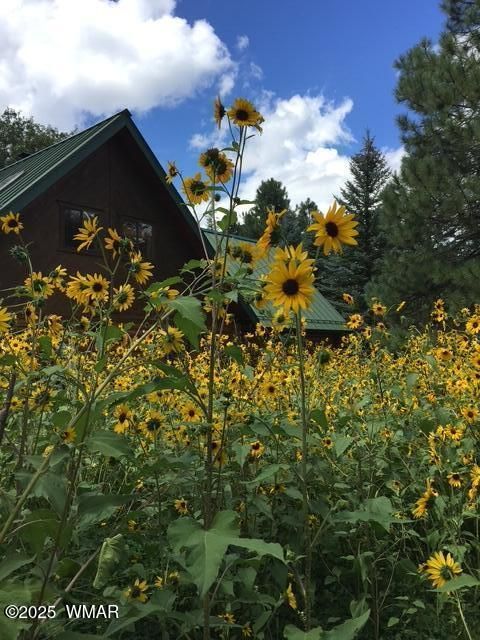 Tiny photo for 5175 Black Panther Loop Loop, Pinetop, AZ 85935 (MLS # 256418)