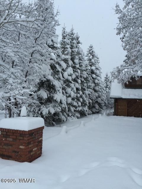 Tiny photo for 5175 Black Panther Loop Loop, Pinetop, AZ 85935 (MLS # 256418)