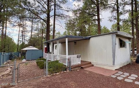 Tiny photo for 1040 N 43Rd Drive, Show Low, AZ 85901 (MLS # 257509)