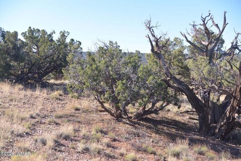Tiny photo for 3908 Coronado Road, Snowflake, AZ 85937 (MLS # 259333)