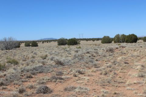 Tiny photo for 5999 Mesa View Lot 149 Drive, Heber, AZ 85928 (MLS # 260276)