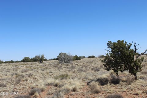 Tiny photo for 5999 Mesa View Lot 149 Drive, Heber, AZ 85928 (MLS # 260276)