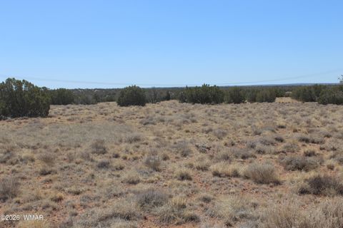 Tiny photo for 5999 Mesa View Lot 149 Drive, Heber, AZ 85928 (MLS # 260276)