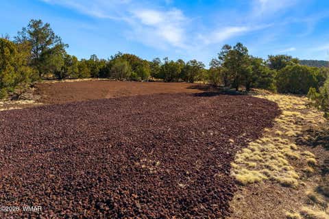 Tiny photo for 10 CR N8623, Concho, AZ 85924 (MLS # 261062)