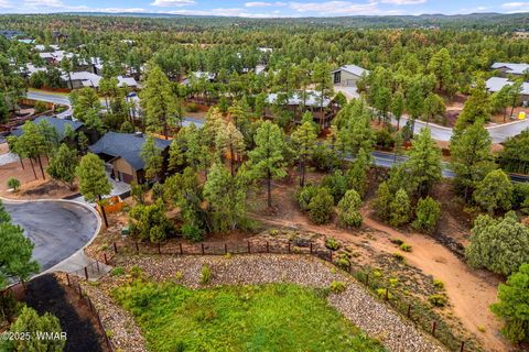 Tiny photo for 2800 N Eagle View Circle, Show Low, AZ 85901 (MLS # 258099)