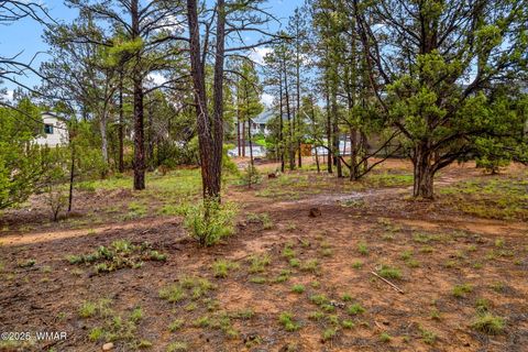 Tiny photo for 2800 N Eagle View Circle, Show Low, AZ 85901 (MLS # 258099)