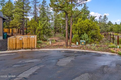 Tiny photo for 2800 N Eagle View Circle, Show Low, AZ 85901 (MLS # 258099)