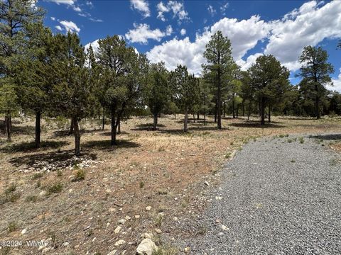 Tiny photo for 3337 Sawmill Ridge Loop, Heber, AZ 85928 (MLS # 258497)
