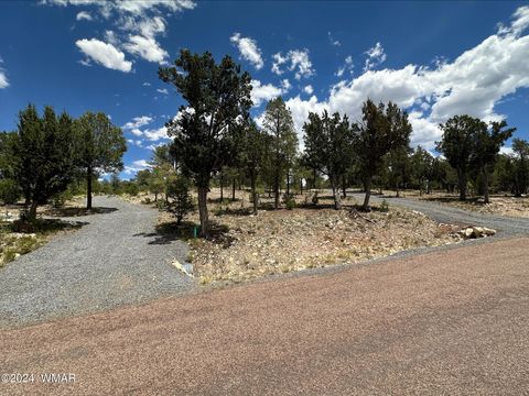 Tiny photo for 3337 Sawmill Ridge Loop, Heber, AZ 85928 (MLS # 258497)