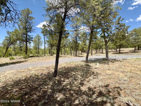 Tiny photo for 3337 Sawmill Ridge Loop, Heber, AZ 85928 (MLS # 258497)
