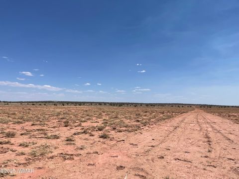 Photo of 8191 E Concho Highway Parcel C Hwy #Parcel C, Snowflake, AZ 85937 (MLS # 256781)