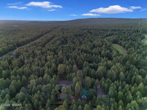 Tiny photo for 4273 Branding Iron Loop, Pinetop, AZ 85935 (MLS # 263148)