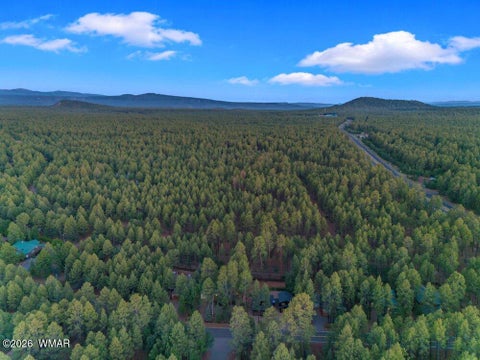 Tiny photo for 4273 Branding Iron Loop, Pinetop, AZ 85935 (MLS # 263148)
