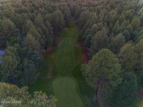 Tiny photo for 4273 Branding Iron Loop, Pinetop, AZ 85935 (MLS # 263148)