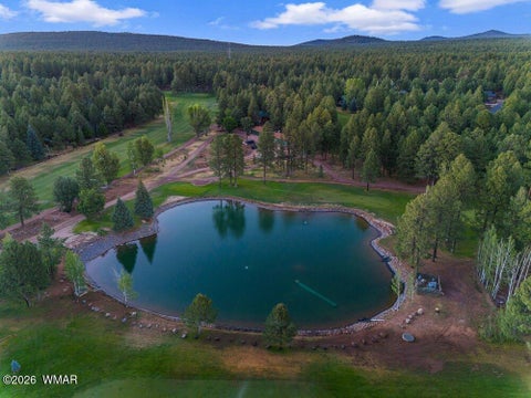 Tiny photo for 4273 Branding Iron Loop, Pinetop, AZ 85935 (MLS # 263148)