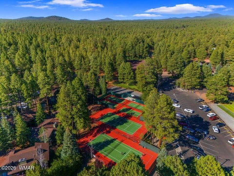 Tiny photo for 4273 Branding Iron Loop, Pinetop, AZ 85935 (MLS # 263148)