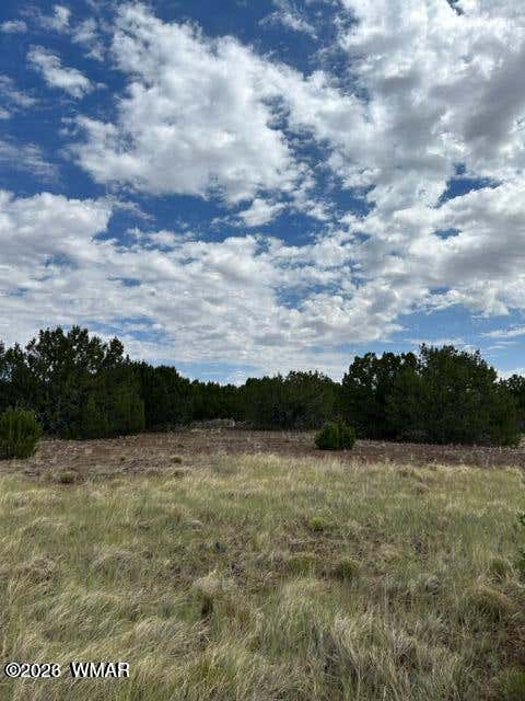 Photo of TBD CR N3102, Vernon, AZ 85940 (MLS # 262145)