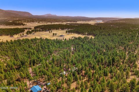 Tiny photo for 56 Co Rd 2266, Alpine, AZ 85920 (MLS # 256669)