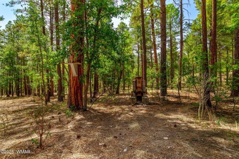 Tiny photo for 56 Co Rd 2266, Alpine, AZ 85920 (MLS # 256669)