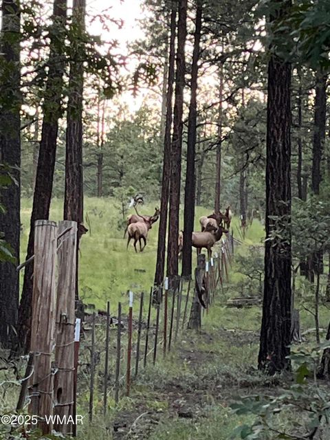 Tiny photo for 56 Co Rd 2266, Alpine, AZ 85920 (MLS # 256669)