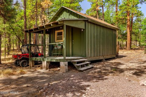 Tiny photo for 56 Co Rd 2266, Alpine, AZ 85920 (MLS # 256669)