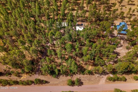 Tiny photo for 56 Co Rd 2266, Alpine, AZ 85920 (MLS # 256669)