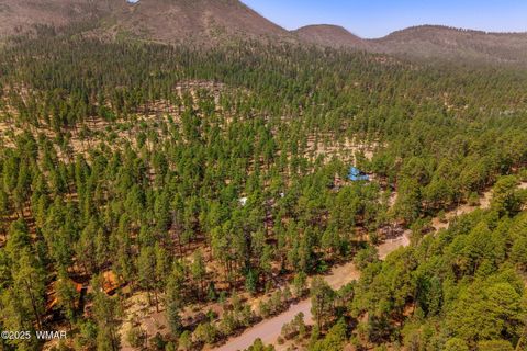Tiny photo for 56 Co Rd 2266, Alpine, AZ 85920 (MLS # 256669)